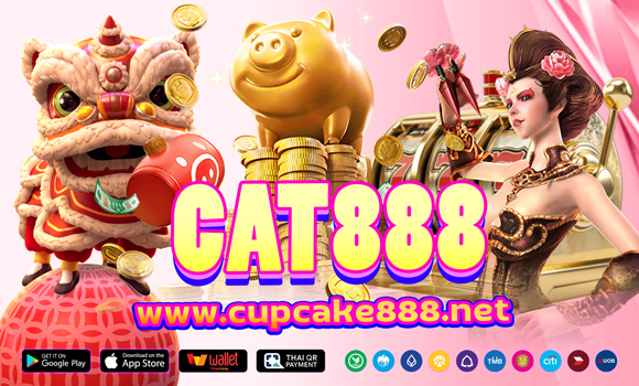 cat888